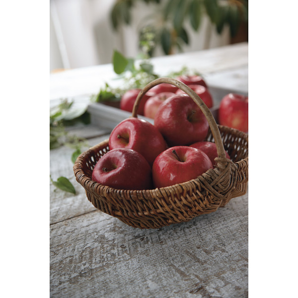 青森産　サンふじりんご（５ｋｇ）のサムネイル画像1