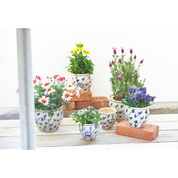 陶器植木鉢６点セット 花柄のサムネイル画像1
