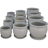 陶器植木鉢１２点セット（受皿付） ホワイト 