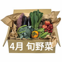 ＜４月＞知多産季節野菜の詰め合わせ