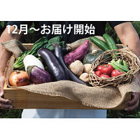 知多産季節野菜　１２月～お届け開始