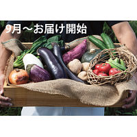 知多産季節野菜　９月～お届け開始