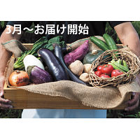 知多産季節野菜　３月～お届け開始