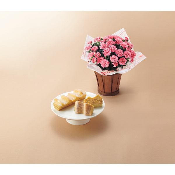 【母の日専用】カーネーション鉢植え「オスカーピンク」４号とねんりん家　マウントバのサムネイル画像2