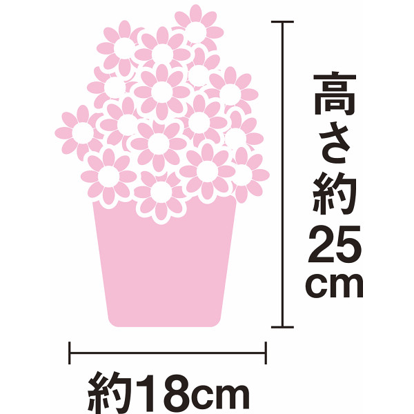 【母の日専用】カーネーション鉢植え「バンビーノ」４号とあまおうぷるるんのセットのサムネイル画像1