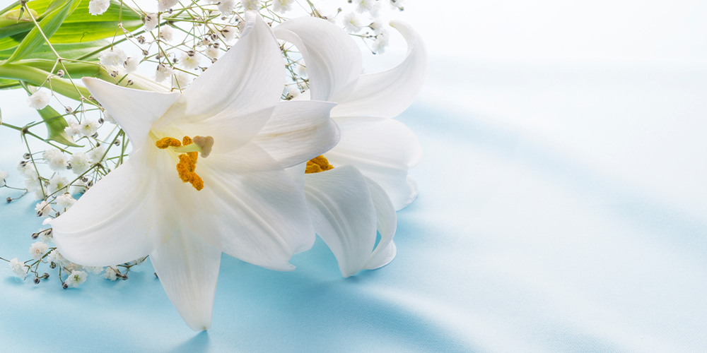 喪中のときにお中元は贈ってよい?自分や相手が喪中の際のお中元マナー