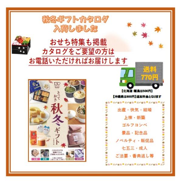 海鮮 グルメ 産直品 帰省 土産 カタログギフト ハガキ2枚 清泉 家電