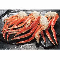 �y�k�C���z��Ń^���o�K�j�r�@�Q����