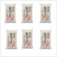 �y�V�����z�����Y�R�V�q�J���@�P�Q����