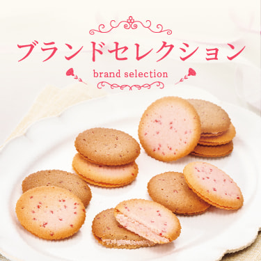 ブランドセクション