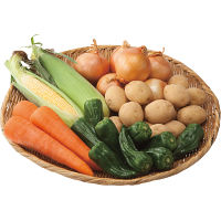 北海道産　夏野菜５種セット