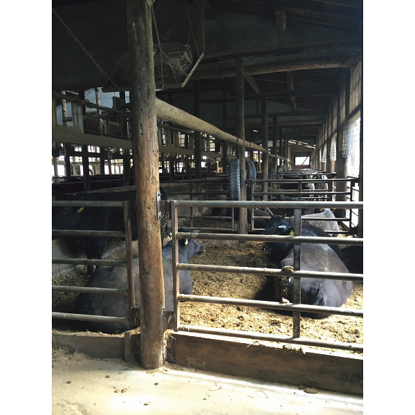 岩手県産小形牧場牛　すき焼き用モモ（３００ｇ）のサムネイル画像3
