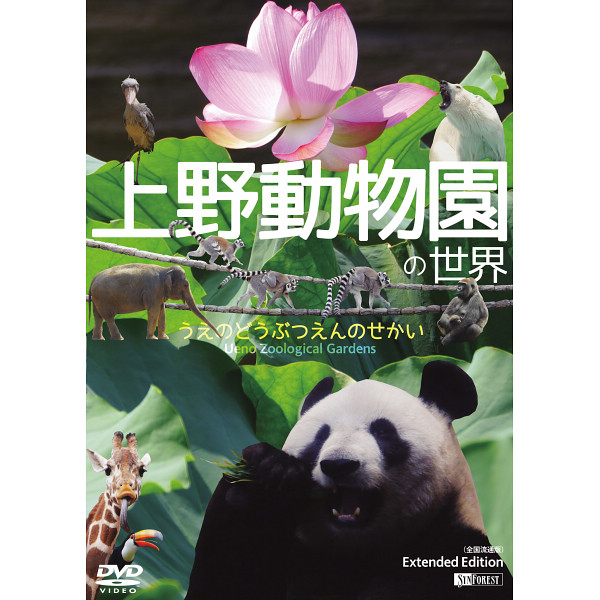 ｄｖｄ 上野動物園の世界 ｅｘｔｅｎｄｅｄ ｅｄｉｔｉｏｎ ｓｄｂ１６ シャディ ギフトモール