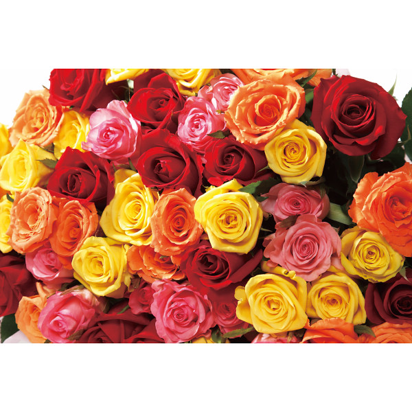 バラの花束　２１本から１００本までのお申し込み ミックスのサムネイル画像1