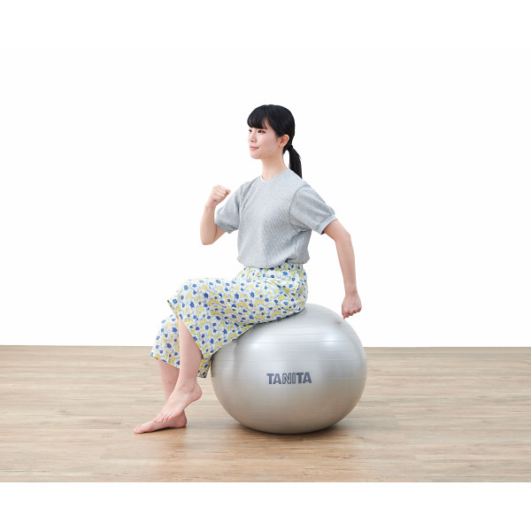 タニタ　ジムボールのサムネイル画像1