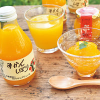 伊藤農園　果汁１００％ピュアジュース＆ジュレセット
