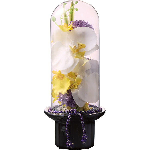 ｐｒｉｍａ プリマ ガラスドームの供花 胡蝶蘭 造花 シャディ ギフトモール