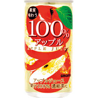 サンガリア　果汁１００％ジュース（３０缶）