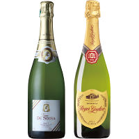 シャンパン・カバ厳選スパークリングワインセット（２本）