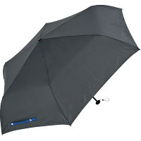 ウォーターフロント　ライトカーボン　ＴＯＫＹＯ／ＪＩＹＵＧＡＯＫＡ　折りたたみ傘