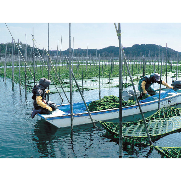 磯じまん　日本全国うまいものめぐりのサムネイル画像2