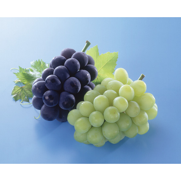 シャインマスカット・ピオーネセットのサムネイル画像2