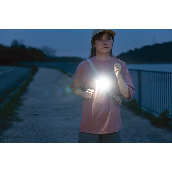 ぴかりｍｉｎｉライト ダスティピンクのサムネイル画像2