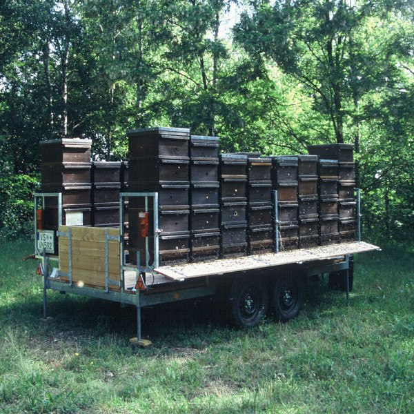 【母の日専用】山田養蜂場　はちみつバウムセットのサムネイル画像1