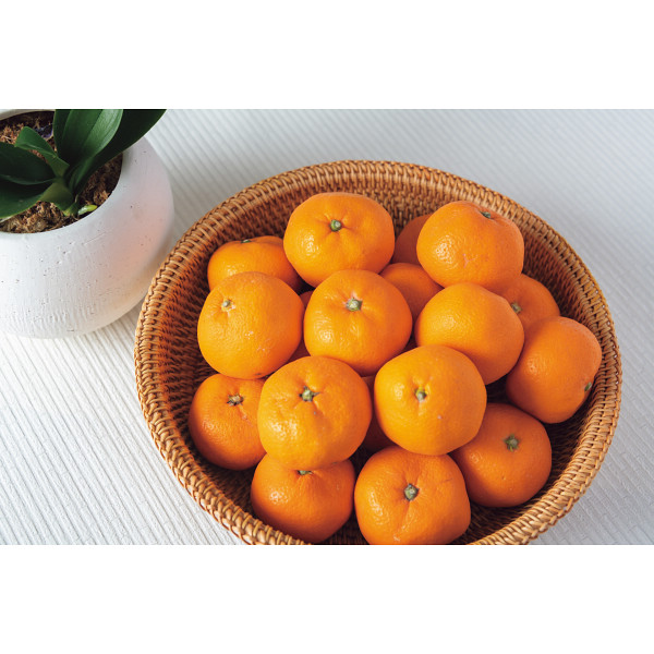 冬の果物５種詰合せのサムネイル画像3