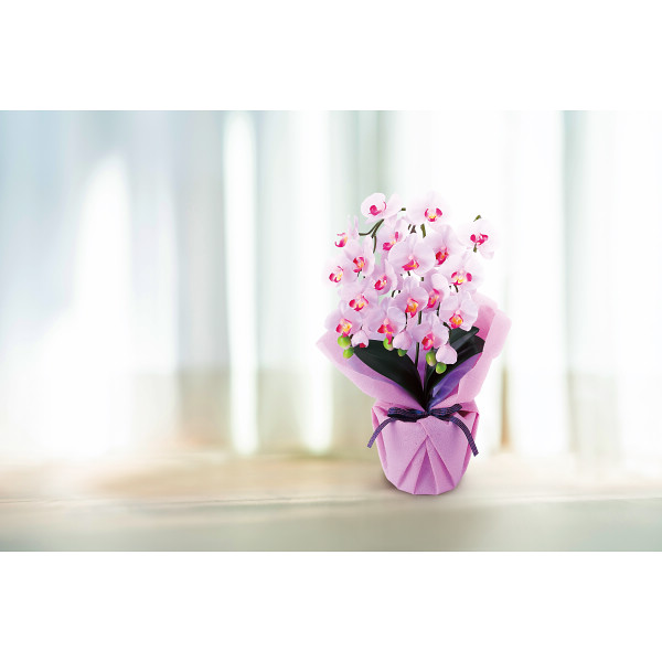 アーティフィシャルフラワー　３本立ミニ胡蝶蘭 ラベンダーのサムネイル画像1