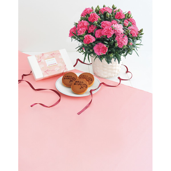 【母の日専用】ホシファームカーネーション鉢５号ホットハート＆徳島なると金時どら焼のサムネイル画像6