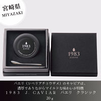 【宮崎】１９８３　Ｊ．ＣＡＶＩＡＲ　バエリ　クラシック　２０ｇ