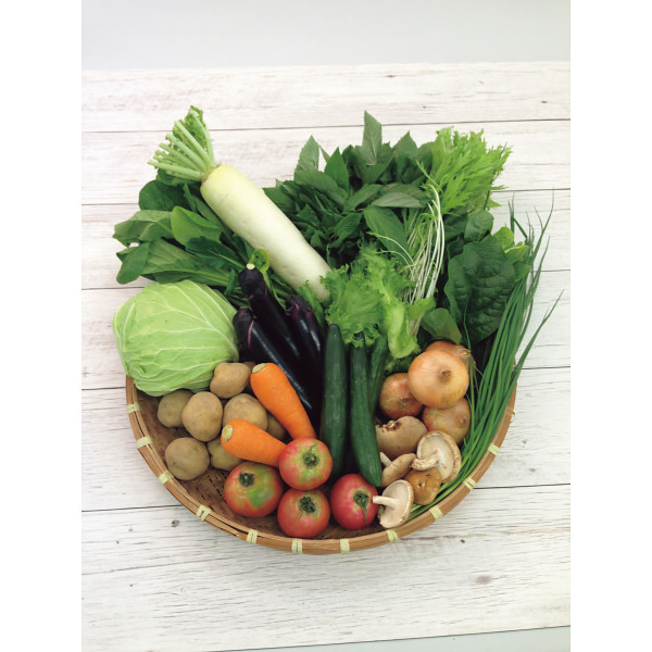 吉備高原野菜　サラダ野菜・シーズニングセットのサムネイル画像2