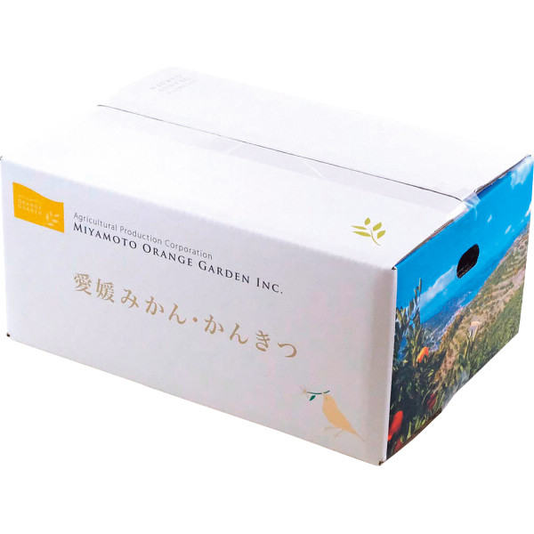 ミヤモトオレンジガーデン　冷凍みかん（皮なし）（１ｋｇ）のサムネイル画像1