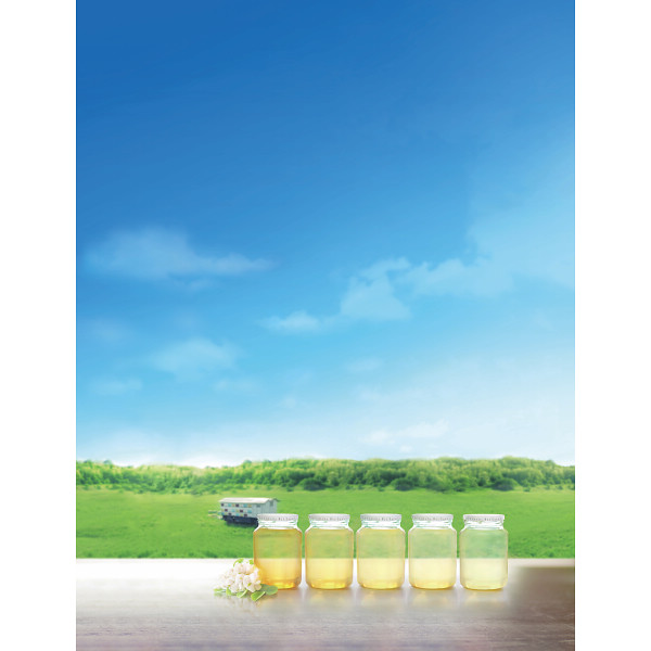 山田養蜂場　ＨＯＮＥＹ　ＬＯＶＥ　はちみつ紅茶（２５包）のサムネイル画像1