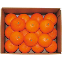 国産清見オレンジ（２ｋｇ）