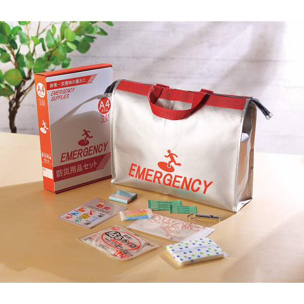 トートリュック避難９点セットのサムネイル画像1