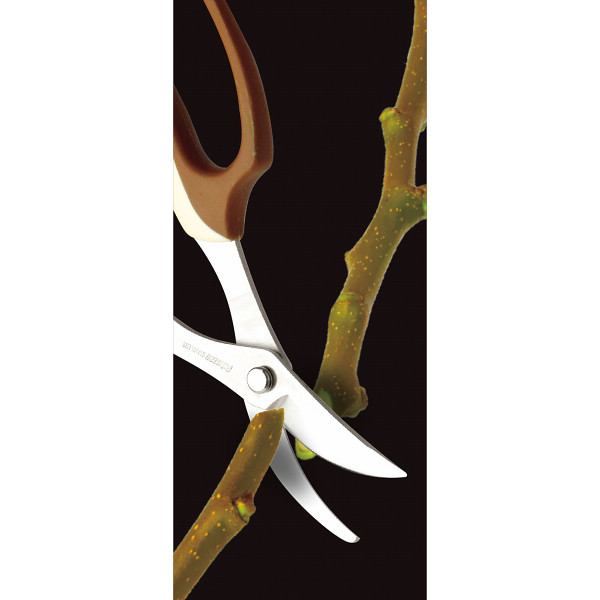 タカギ　ステンレス花木鋏のサムネイル画像2