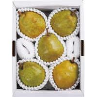 山形県産　食べ頃ラ・フランス（１．５ｋｇ）