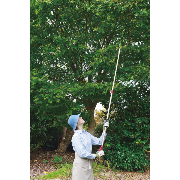 タカギ　軽量伸縮高枝切鋏のサムネイル画像1