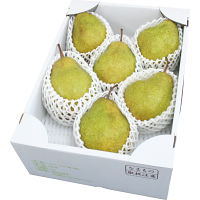 山形県産シルバーベル(3kg)