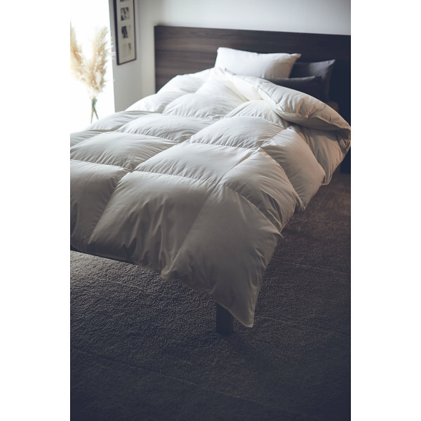 ｎｉｓｈｉｋａｗａ　制菌加工生地使用羽毛掛けふとん２枚セットのサムネイル画像1