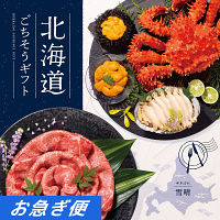 北海道ごちそうギフト　１６，０００円コース【お急ぎ対応】