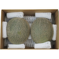 熊本県産　肥後グリーンメロン（２玉）