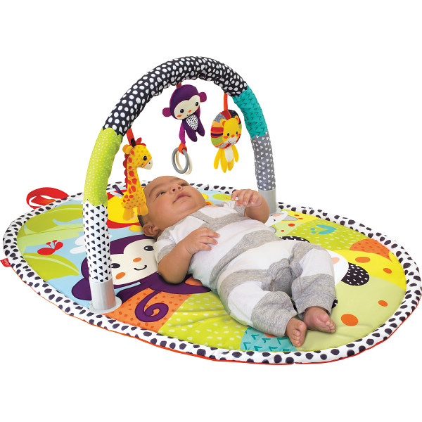 インファンティーノ　アクティビティ・ジム　アニマルのサムネイル画像2