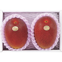 宮崎県産　完熟マンゴー（２玉）