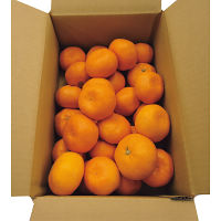 和歌山みかんＳ～２Ｌ（３ｋｇ）