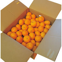 和歌山みかんＳ～２Ｌ（７ｋｇ）