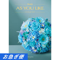 カタログギフト　アズユーライク［洋風表紙］　３，４００円コース【お急ぎ対応】