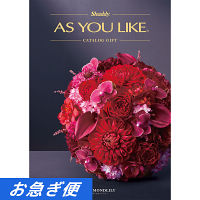 カタログギフト　アズユーライク［洋風表紙］　１００，９００円コース【お急ぎ対応】
